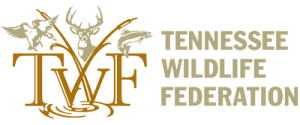 TWF_Logo_horizontal